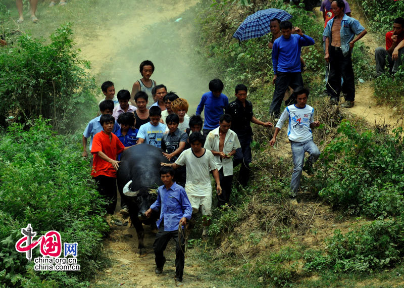 28365365ַմ̼嶷ţ[ͼ]