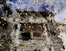 ˮӰ-2  2009꣩   Ӱе廪԰ƻ-廪ѧ 