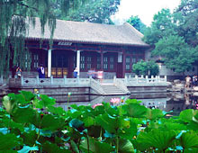 ʢĵˮľ廪 º 2010꣩