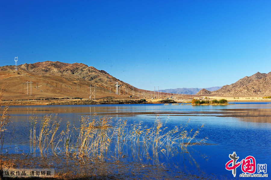 新疆草原泽国——可可苏里湖迷人秋色。 新疆草原泽国——可可苏里湖迷人秋色。