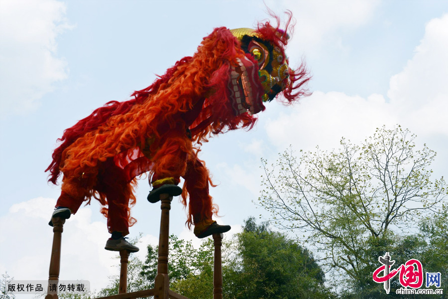 有600余年历史的贵州省湄潭县西河乡下坝村高台舞狮民俗活动。中国网图片库 彭年/摄 有600余年历史的贵州省湄潭县西河乡下坝村高台舞狮民俗活动。中国网图片库 彭年/摄