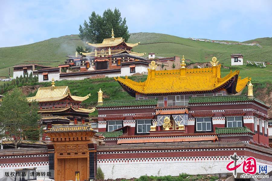 λڸʡϲݺеհͷ йͼƬ /