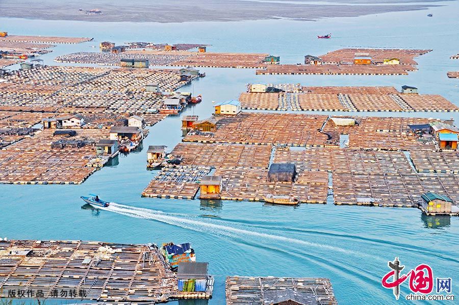 霞浦的海上渔排有“海上威尼斯”之称。“海上人家”,就是渔民在海上养殖的场所。 中国网图片库 肖远泮/摄 霞浦的海上渔排有“海上威尼斯”之称。“海上人家”,就是渔民在海上养殖的场所。 中国网图片库 肖远泮/摄