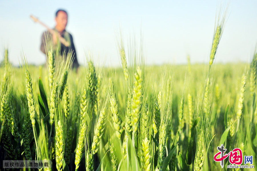 立夏,二十四节气之一。立夏表示即将告别春天,是夏日天的开始。 立夏,二十四节气之一。立夏表示即将告别春天,是夏日天的开始。