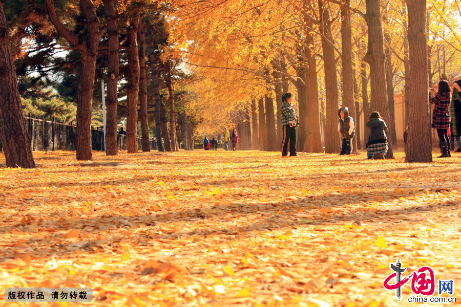 ̨Ӵڱӵĵ̨ݵĶǽ⡣ƣҫ£ӲӵĹâ 