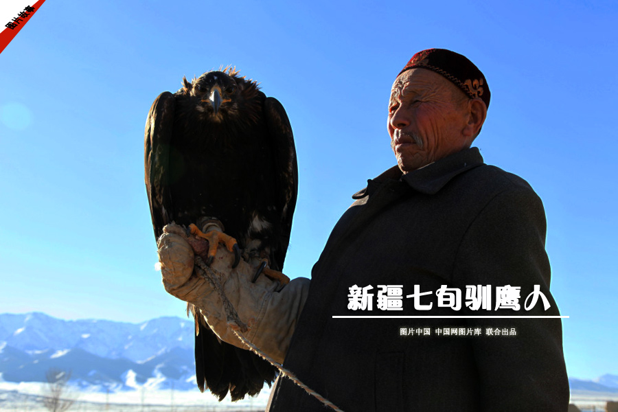 ½Ѯѱӥ 28365365ַ йͼƬ ϳƷ