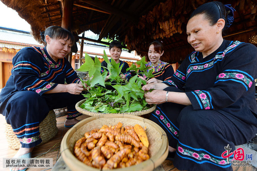  ׳ɫŴ׷ʱȽֲͬɫȾϷֱɼɫúݻҶʲҶ֭Ⱦɣɫûƽƻ֭Ⱦɣɫ֭Ⱦɣɫ÷ҶֳڷҶ֭ȾɣɫŴױɫйͼƬ Τ 